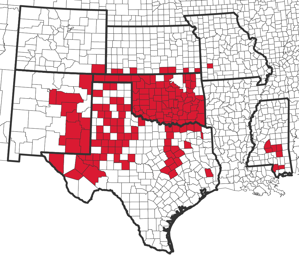 DMG Mineral Holdings